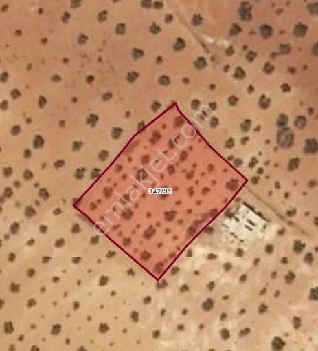 Uluyatır - Nizip 'de Asfalta 100 Metre E90'a 700 M. Bağevlik Mükemmel Konumda Arazi.