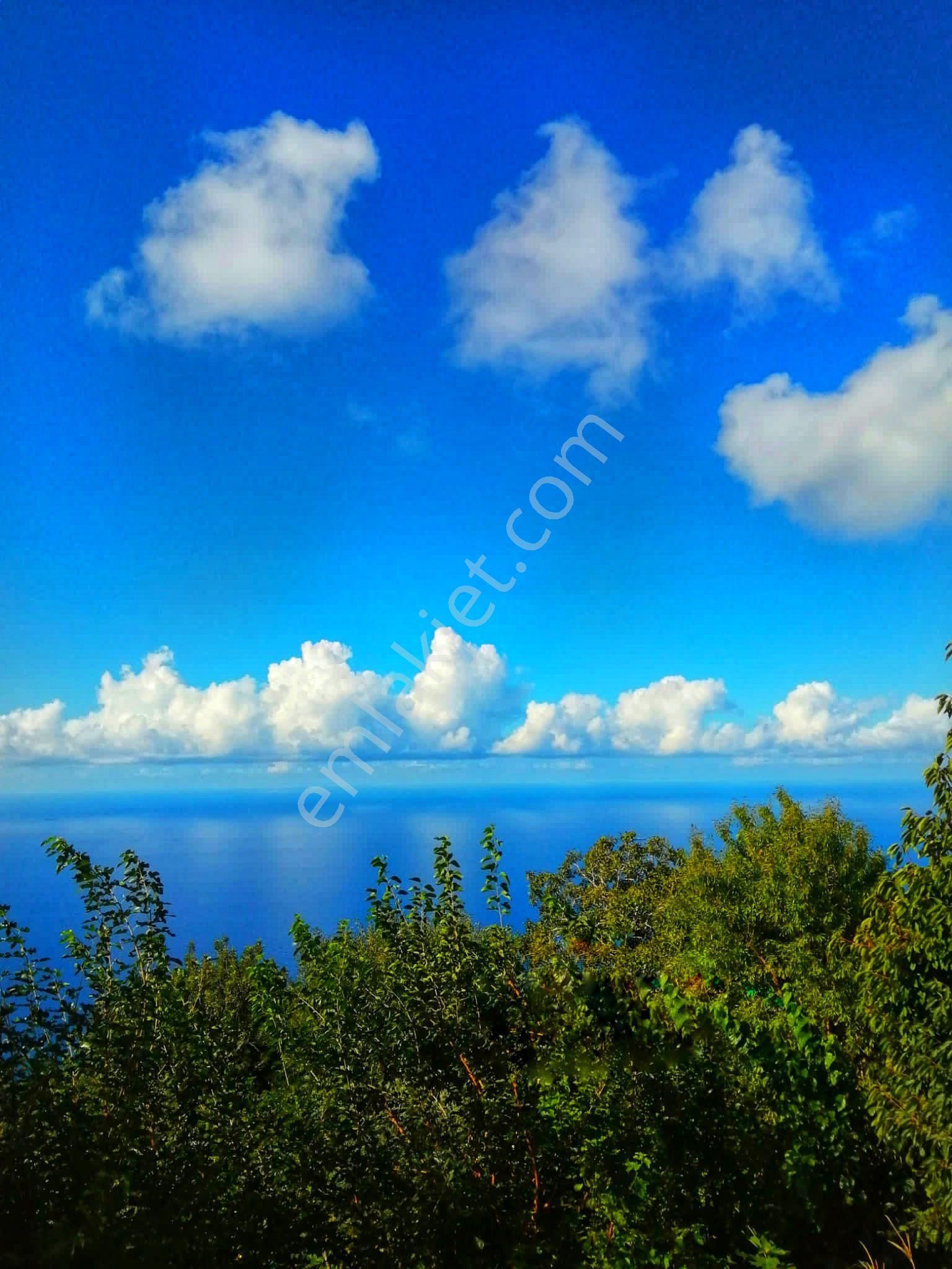 Çamlıpınar Alanı Mahallesin'de Satılık Deniz Manzaralı Arazi - Görsel 5