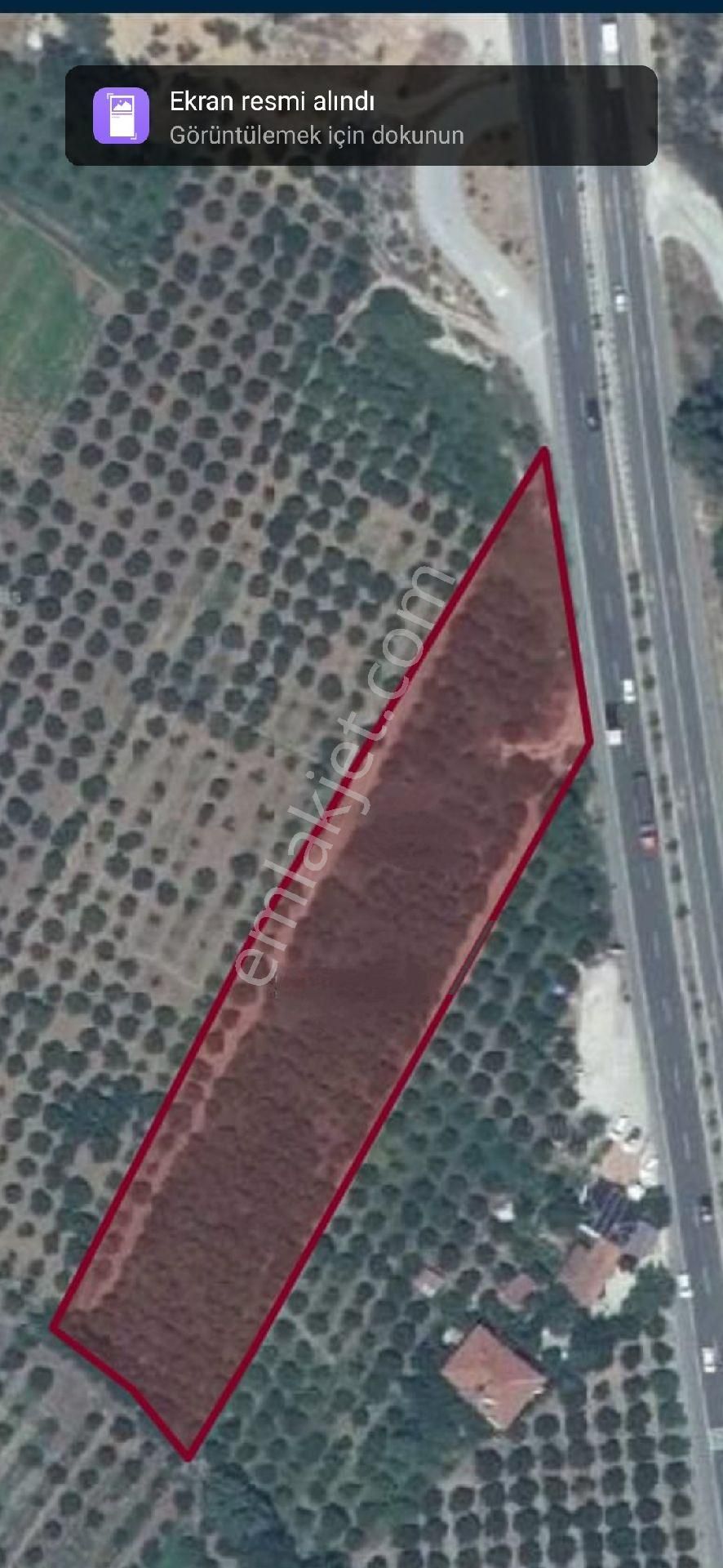 Muğla Gökova Mahallesi Ferikova Mevkiinde Satılık Arazi