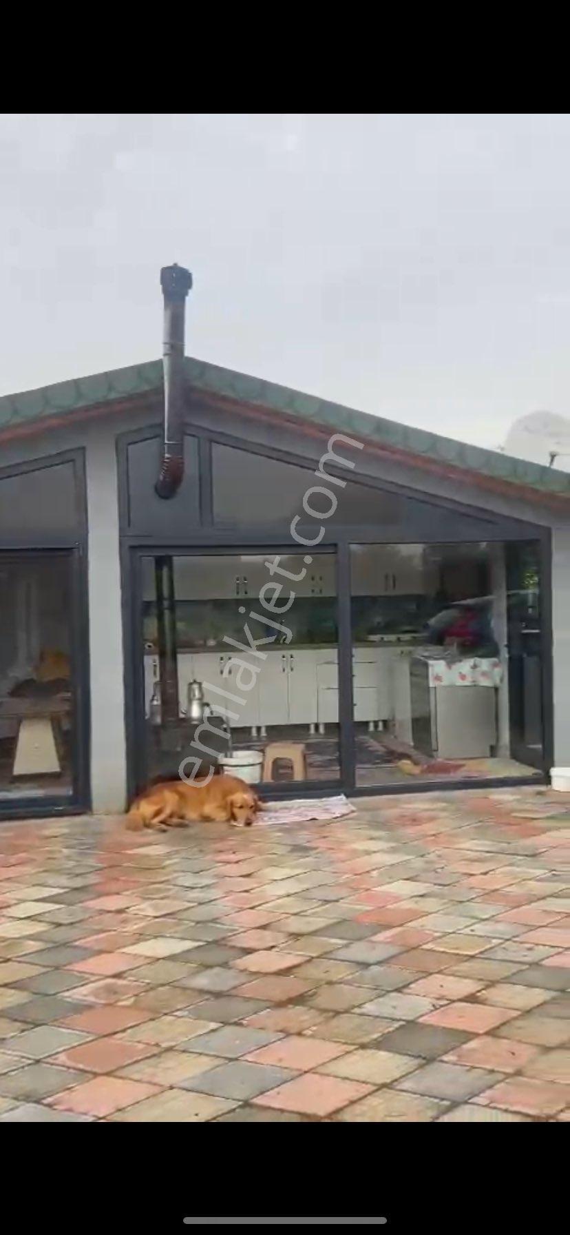 Tuğba Emlaktan Terme Akçay Mevkiinde 3945 Metrekare Satılık Arsa Ve 2 Katlı Müstakil Ev… - Görsel 6