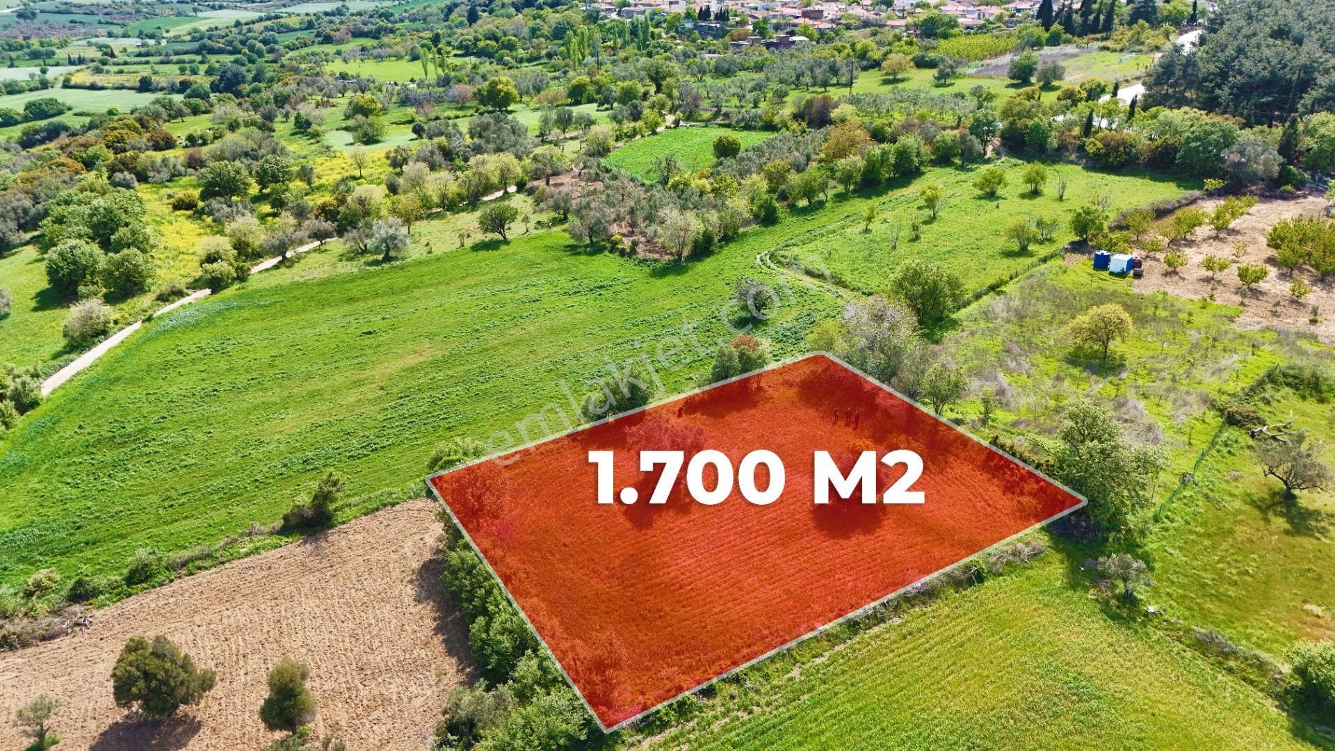 Çanakkale Lapseki Kangırlı Satılık Tarla Boğaz Ve Köprü Manzaralı