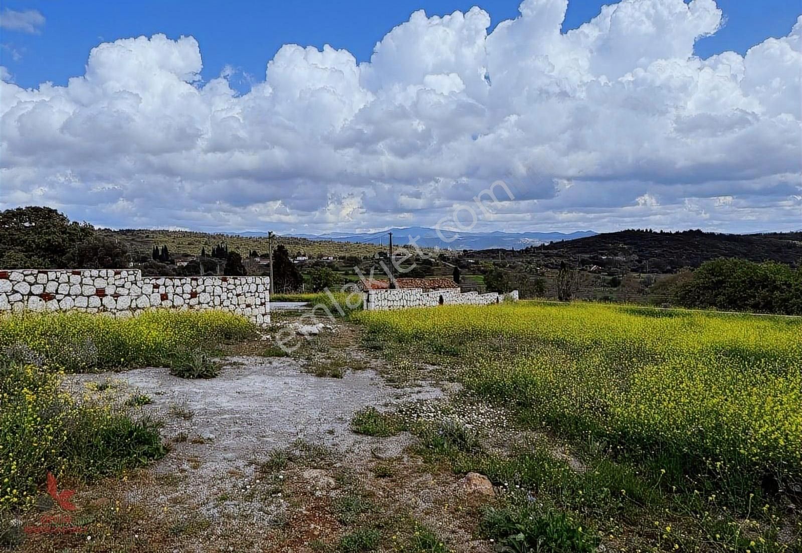 Urla Ovacık Da Kadastral Yola Cepheli Tarla