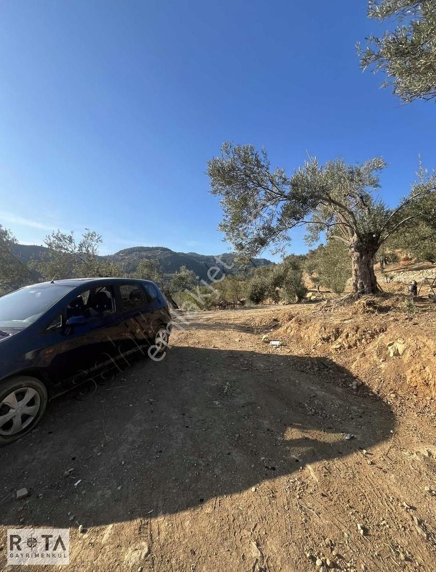 Assos-nusratlı 22 Dönüm Deniz Manzaralı Zeytinlik-rota