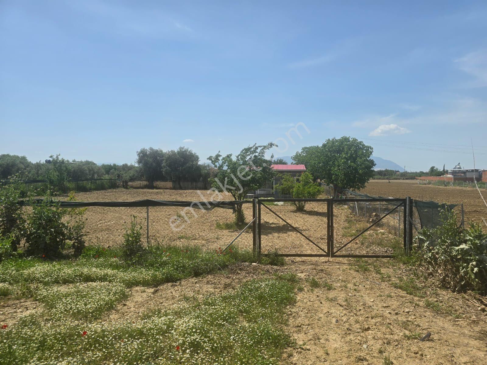 Yörük Emlaktan Satılık. 4. Mıntıka 1100 M2 Hobi Bahçesi