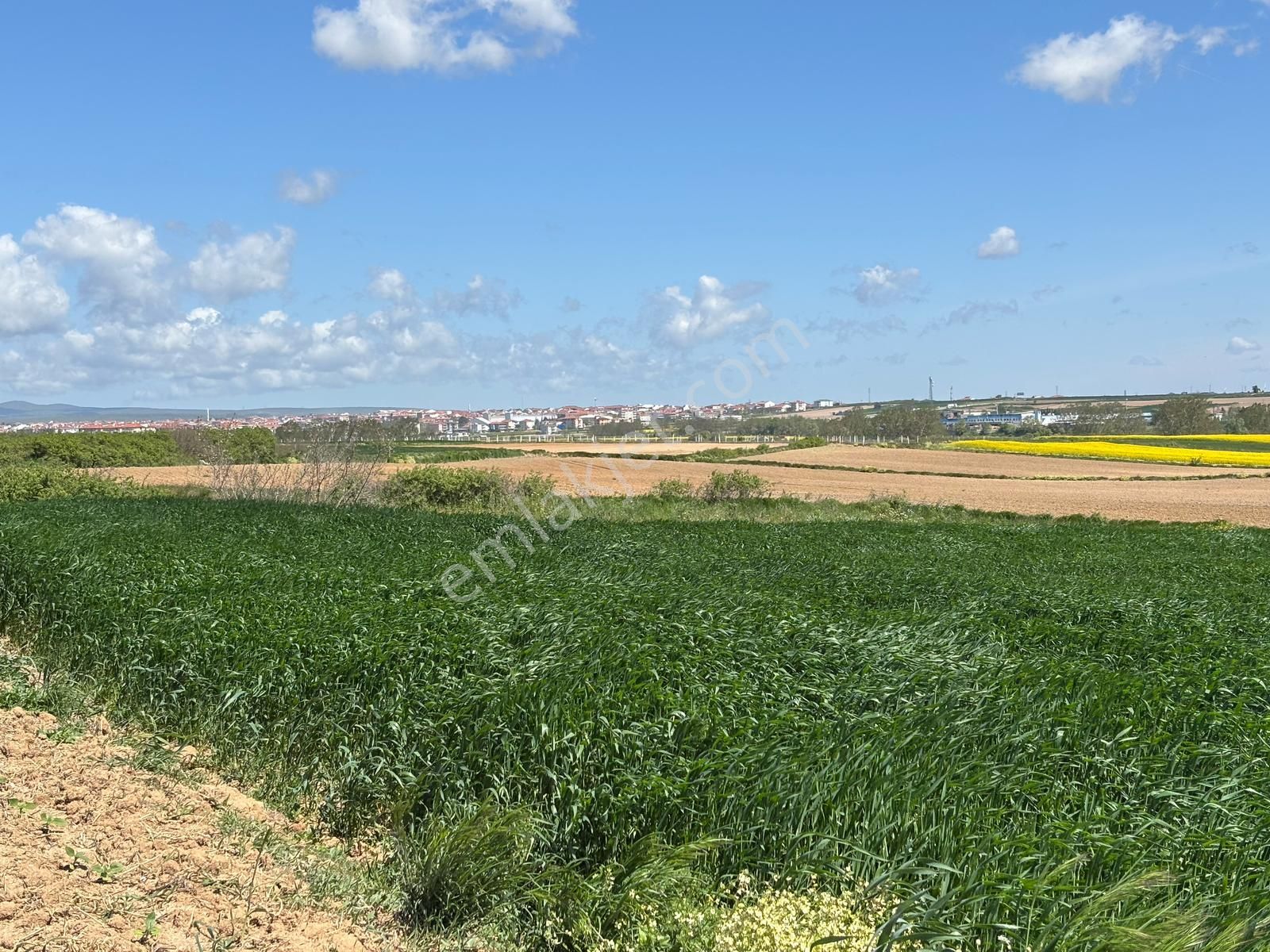 Güven'den Saray'da 4.000m² Tek Tapu Satılık Tarla...