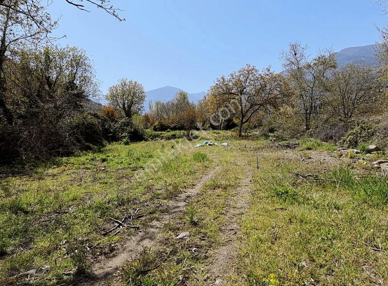 Pek Emlaktan Hayalini Kurduğunuz Satlık Bahçe Bu Olmalı 1500 M2 - Görsel 5