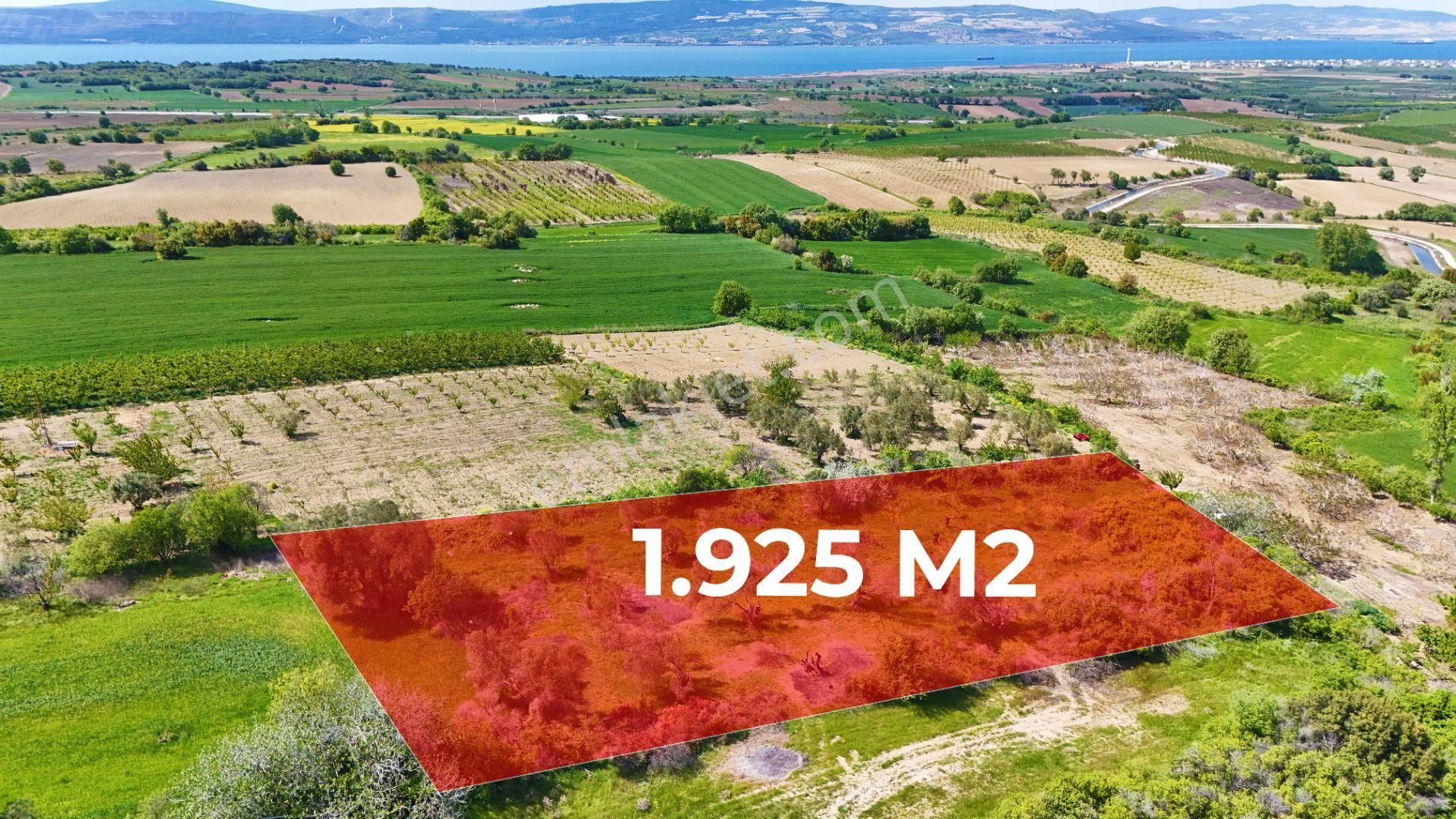 Çanakkale Lapseki Kangırlı Satılık Tarla Boğaz Ve Köprü Manzaralı