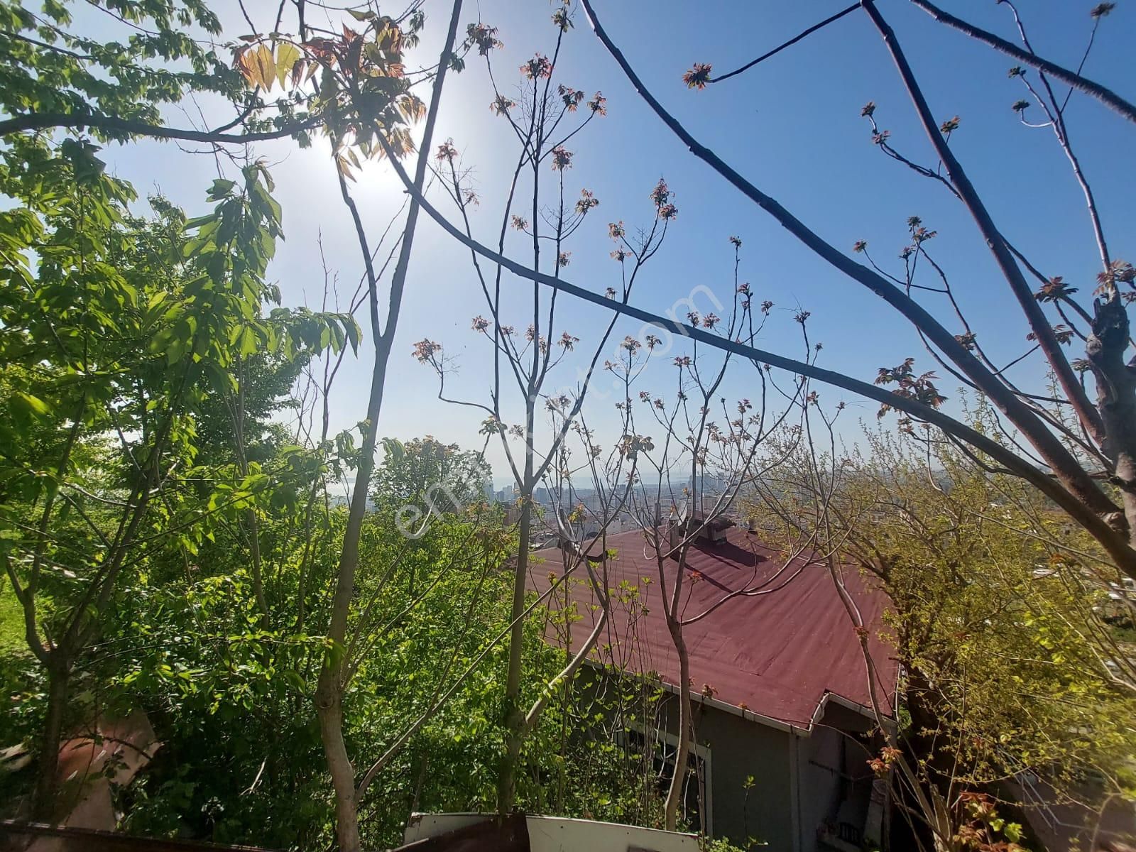 Güneyden Gülensuda Konut İmarlı İçinde Gecekondu Olan Arsa - Görsel 6