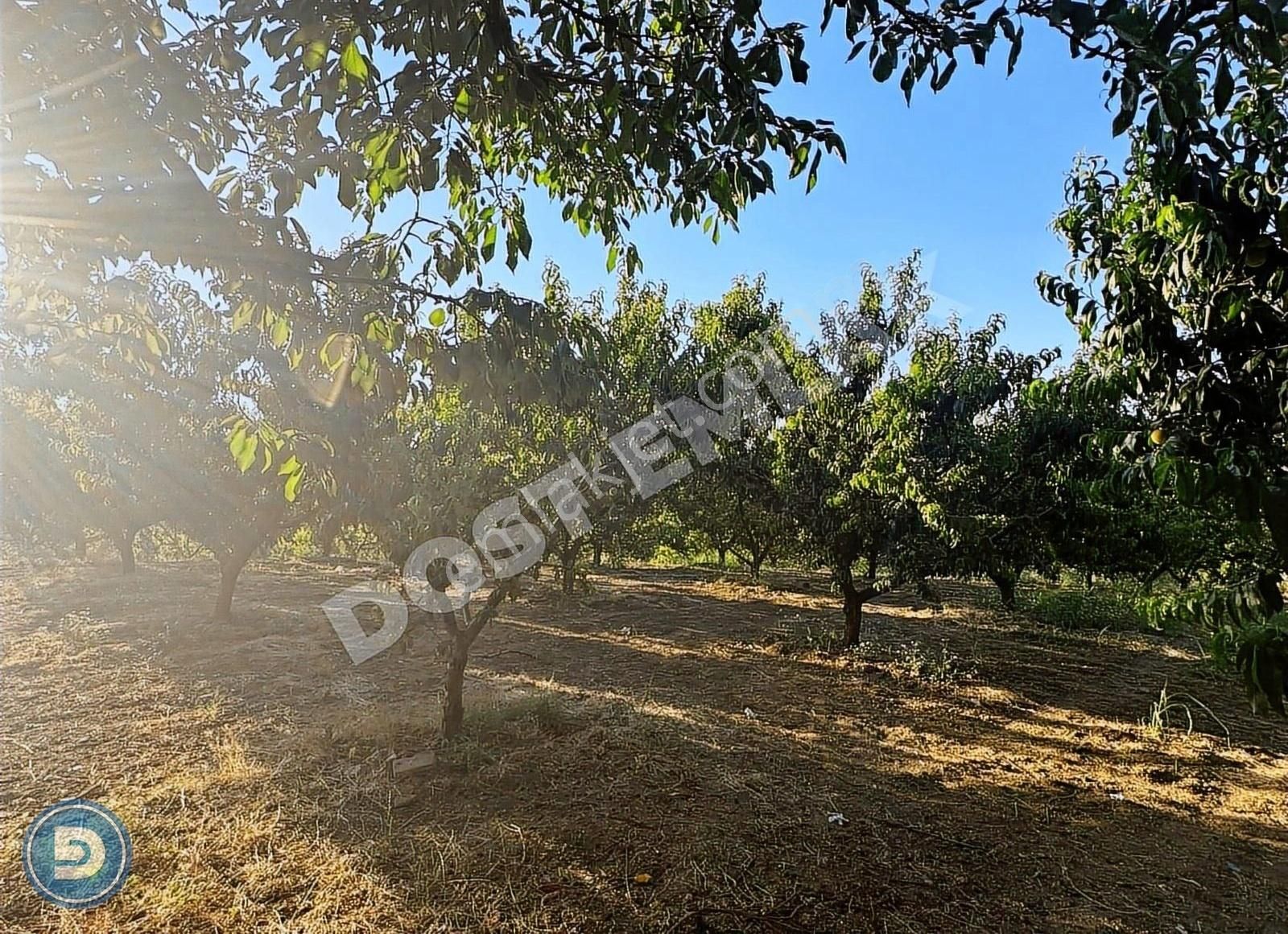 İnegöl İsaörende Merkeze Yakın Yatırımlık Değerli Arazi Fırsatı! - Görsel 3