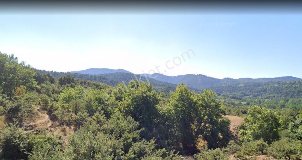 Çanakkale Bayramiç Kazdağlarında Satılık Tarla