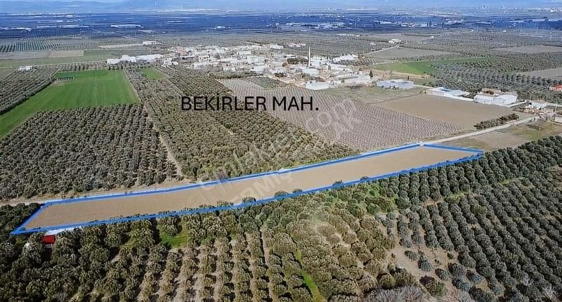 Ermiş Emlaktan Bekirler Mah 7600 M2 Tarla