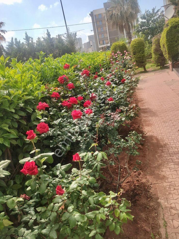 Antalya Altıntaş’da Deniz Ve Doğa Manzaralı, 180 M2, 3+1