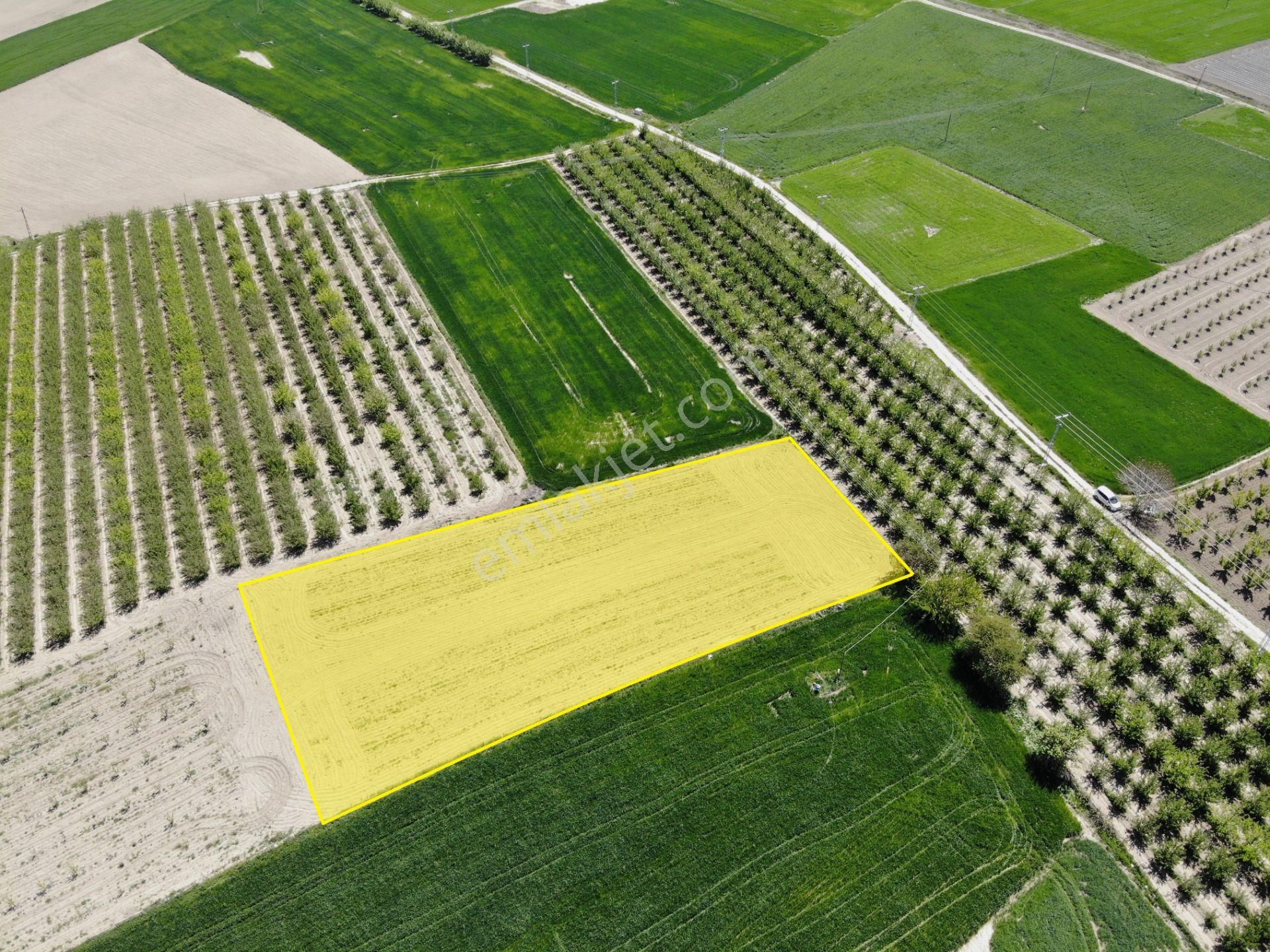 Antalya Elmalı Eymir Mah'de Tarıma Elverişli 3.075m2 Satılık Tarla - Görsel 6