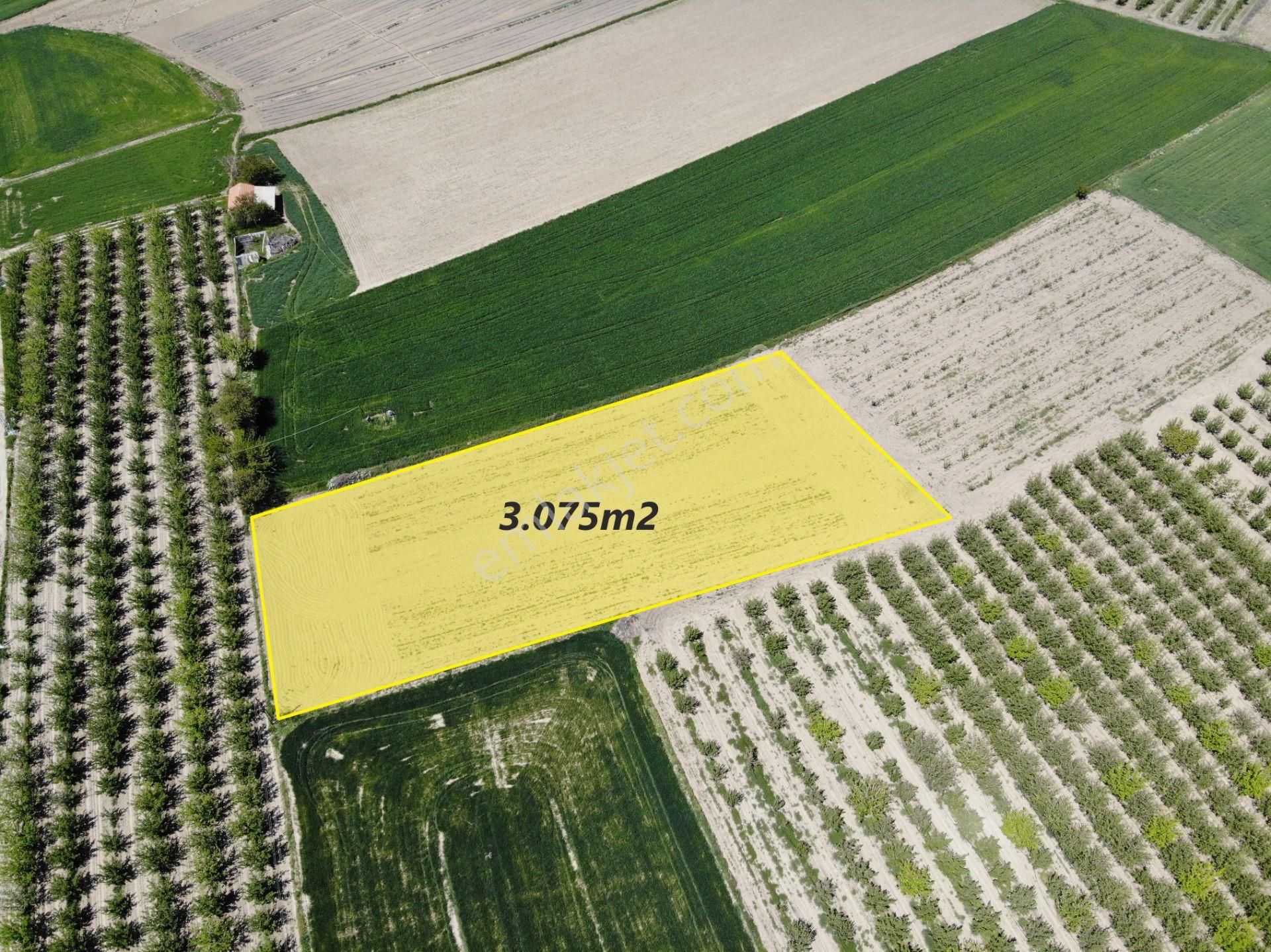 Antalya Elmalı Eymir Mah'de Tarıma Elverişli 3.075m2 Satılık Tarla - Görsel 11