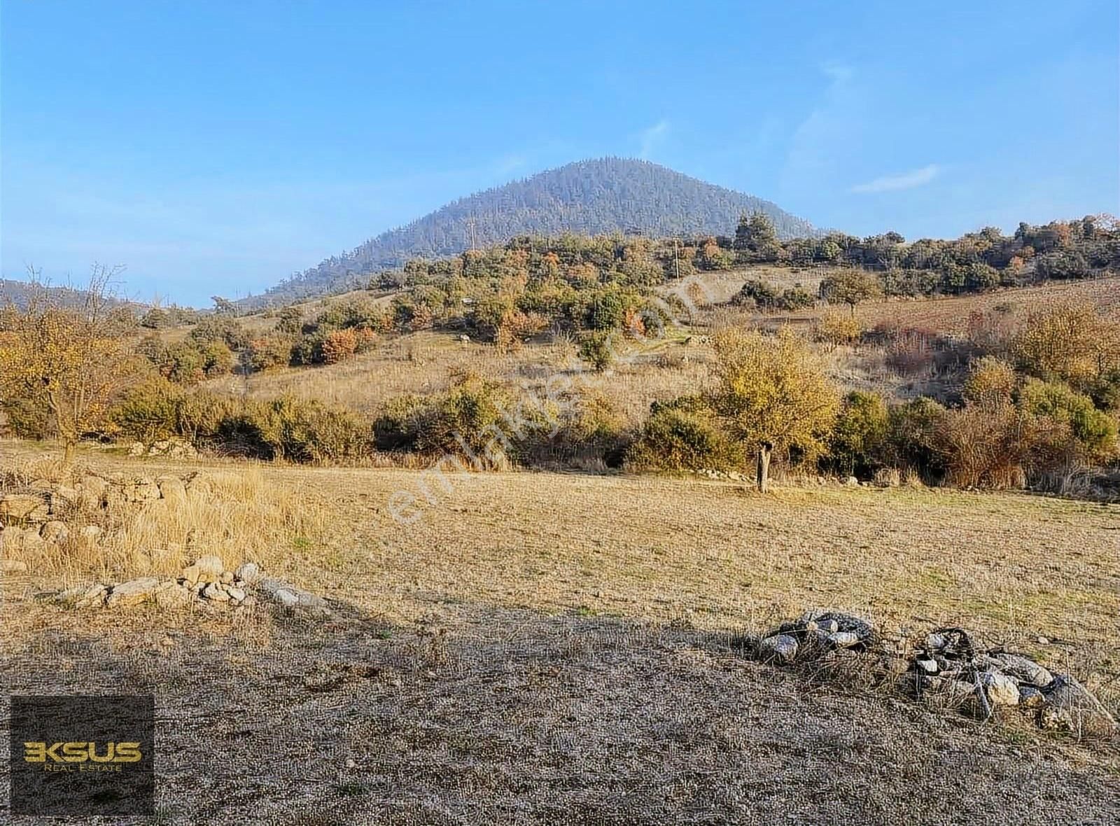 Balıkesir Kepsut Sarıfakılar Mah. Satılık Tarla