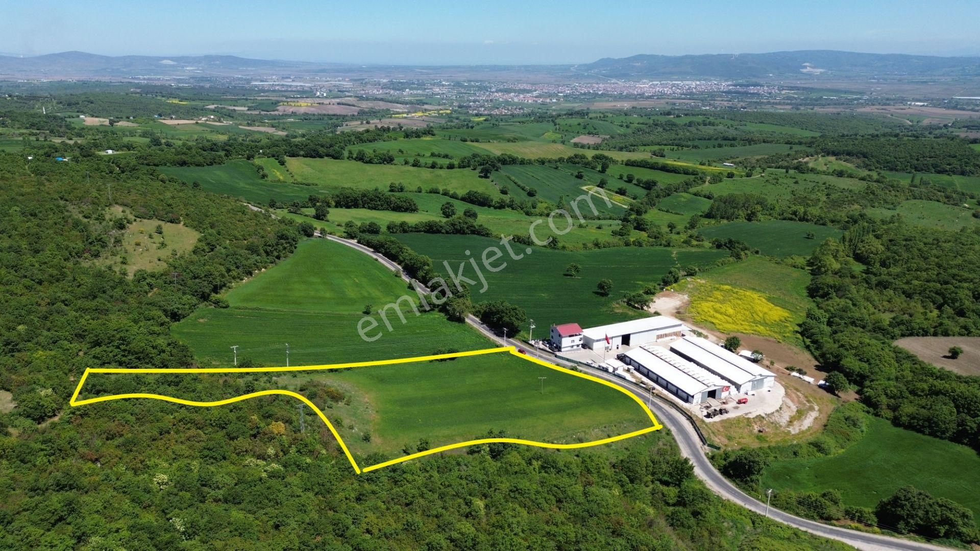 11.050 M2 Asfalta Cephe Gönene Yakın Çiftlik Arazisi