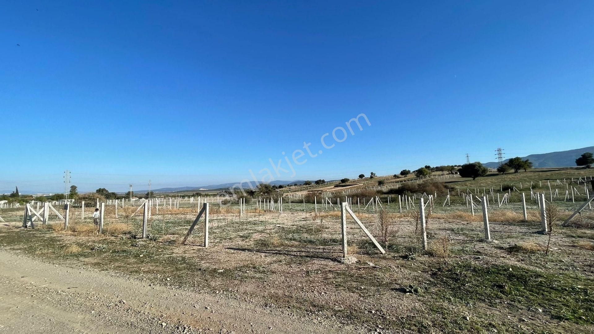 Menderes Şaşalda Ana Yol Kenarı 217 M2 Key Emlaktan Satılık Tarla