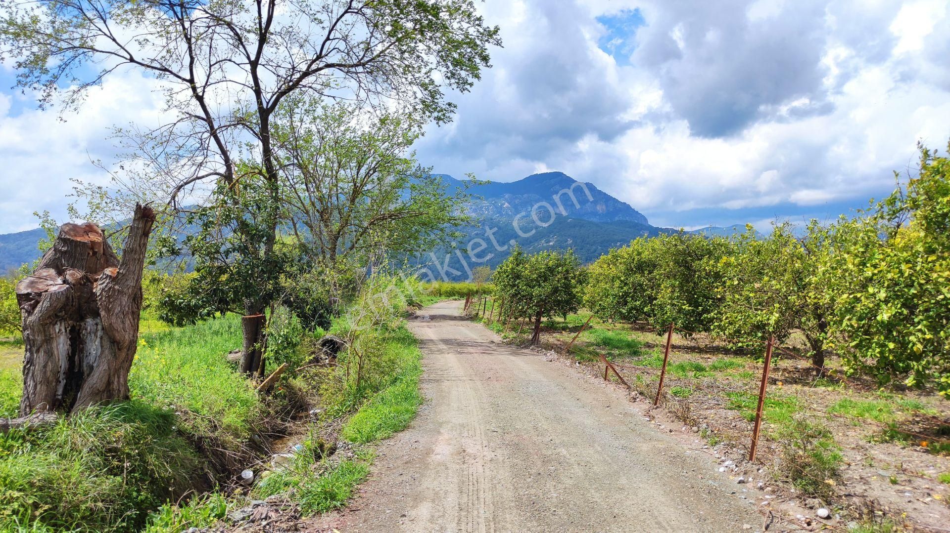 Dalyanda Satılık 6270 Metrekare Tarla (da26)