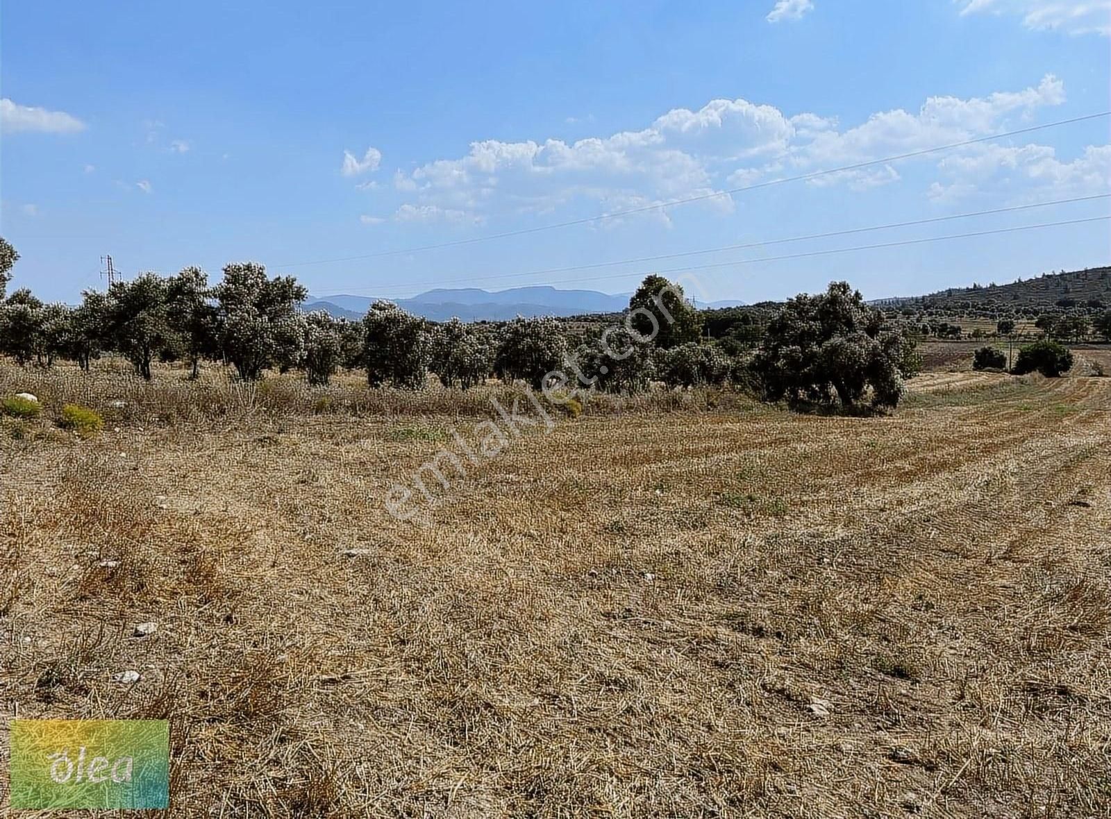 Milas Çam Köy'de Satılık Konut İmarlı Arsa!!! - Görsel 9
