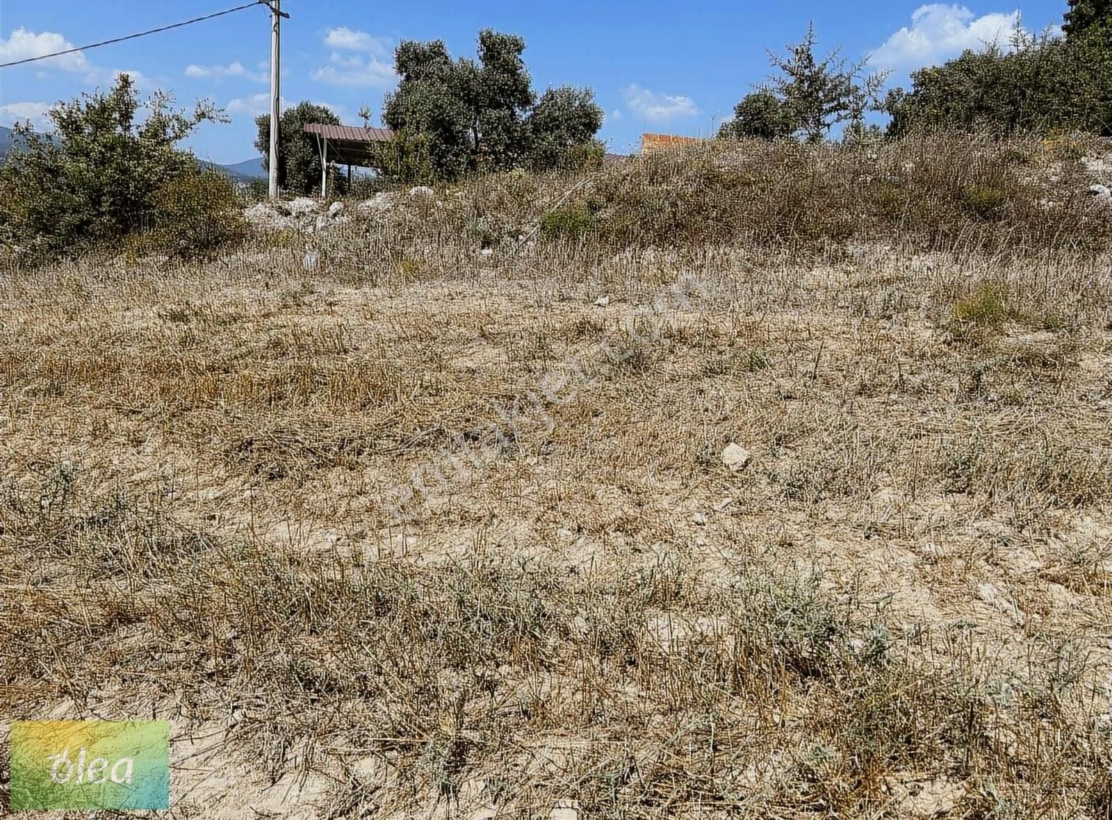 Milas Çam Köy'de Satılık Konut İmarlı Arsa!!! - Görsel 2