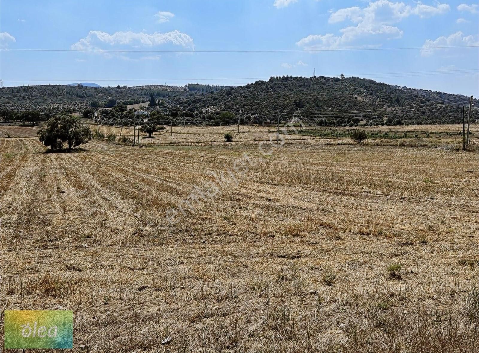 Milas Çam Köy'de Satılık Konut İmarlı Arsa!!! - Görsel 3