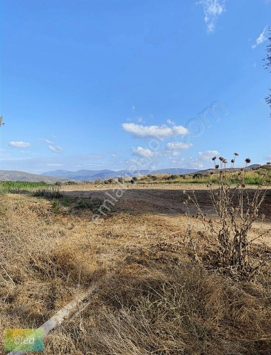 Muğla Milas Bahçeburun'da Satılık Tarla