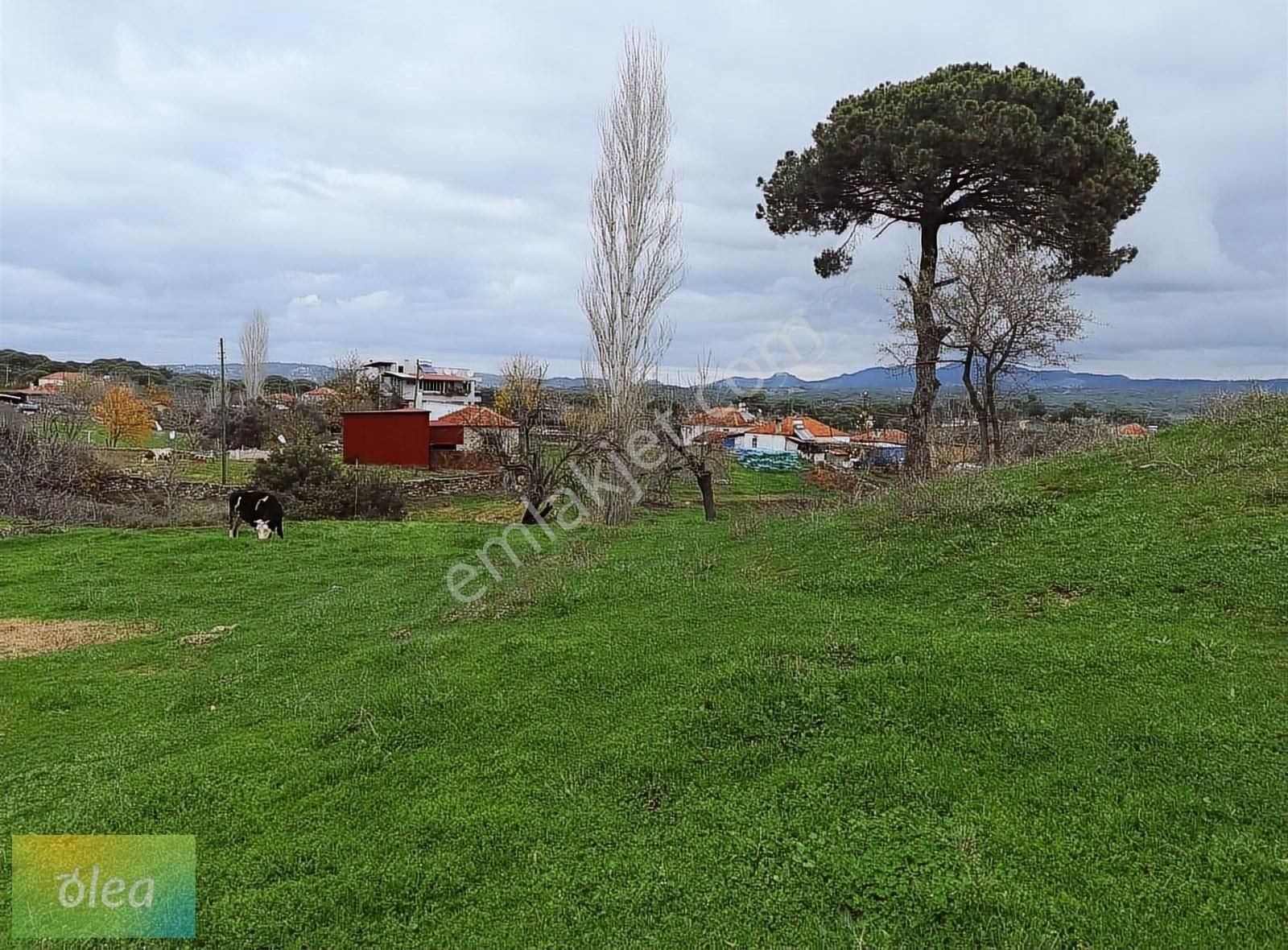 Milas Olukbaşı Mah. Baraj Manzaralı 1.405 M2 Köyiçi Fırsat Tarla