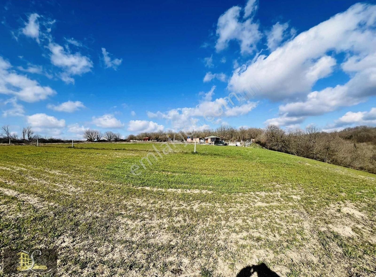 Serdaroğlundan Büyükçavuşlu Mah Satılık 261m Bağ Yeri - Görsel 16