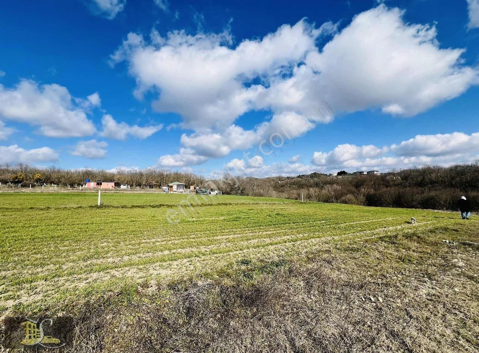 Serdaroğlundan Büyükçavuşlu Mah Satılık 261m Bağ Yeri - Görsel 6