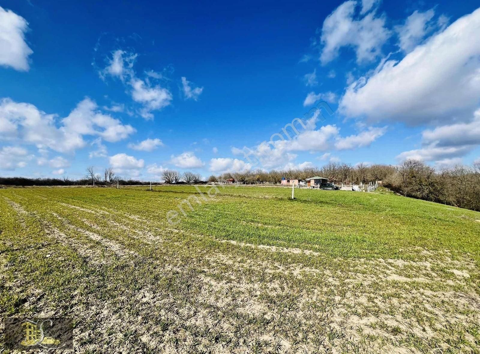 Serdaroğlundan Büyükçavuşlu Mah Satılık 261m Bağ Yeri - Görsel 14