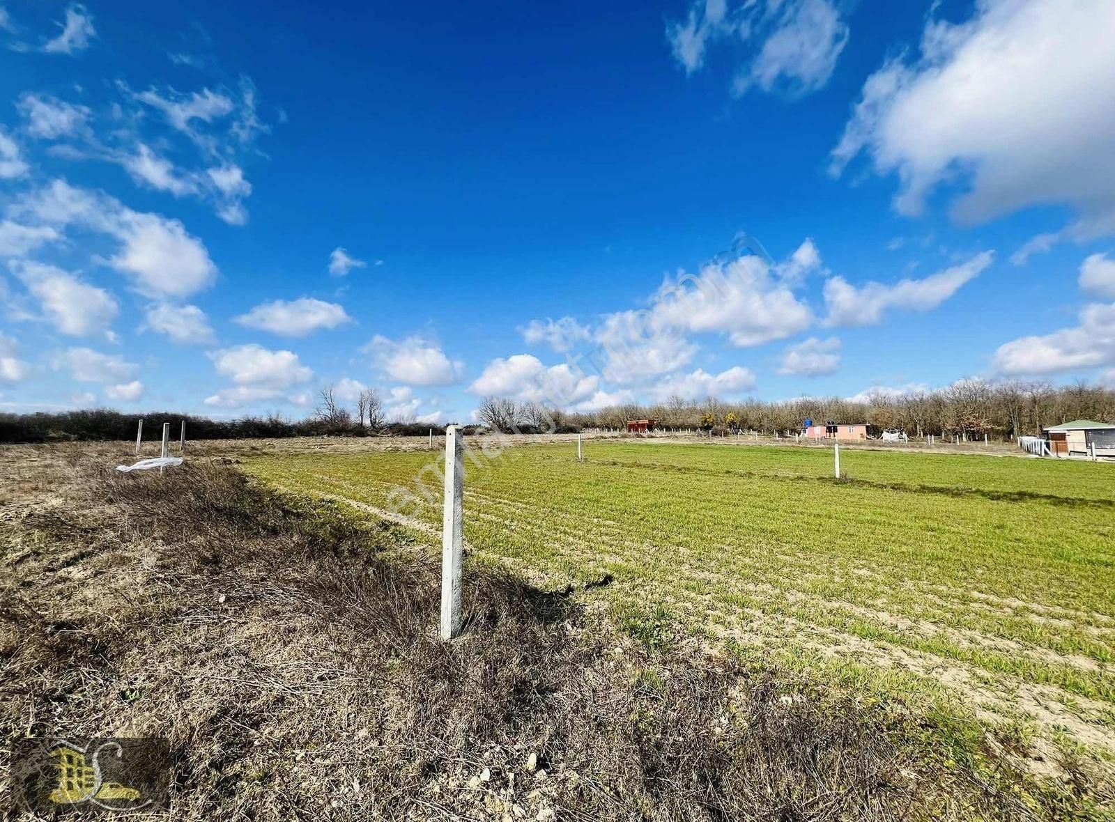 Serdaroğlundan Büyükçavuşlu Mah Satılık 261m Bağ Yeri - Görsel 15