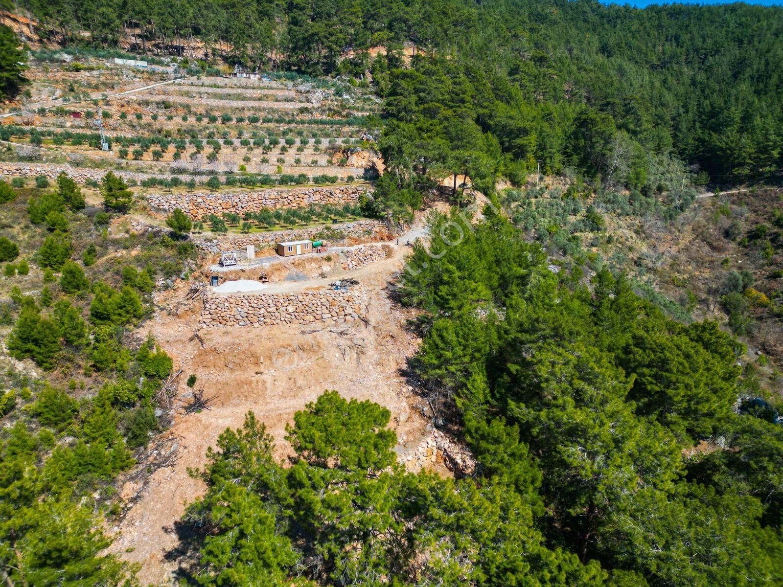 Kızılcaşehir'de Satılık Doğa İle İç İçe Bahçe