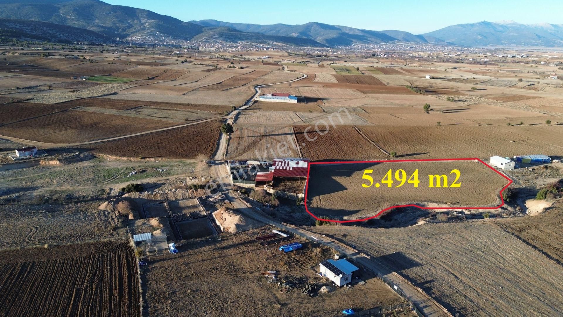 Korkuteli Yeltende Satılık 5494 M2 Tarla Yolu Mevcuttur