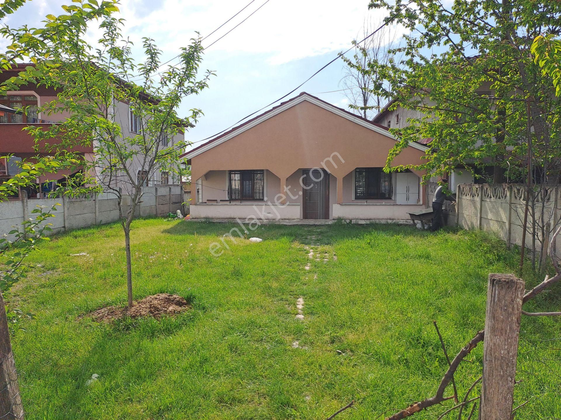 Arapçifliği Mahallesinde Kiralık Eşyalı Müstakil Bahçeli Ev