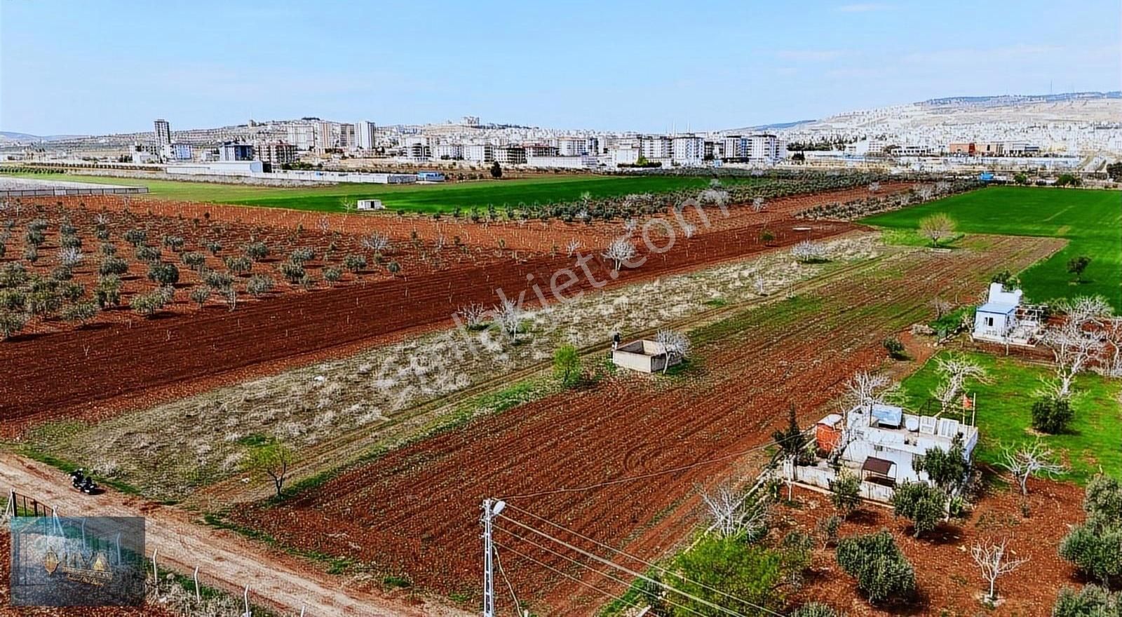 Liva Gayrimenkul'den Çevre Yolun'da İmara Yakın Satılık Arazi
