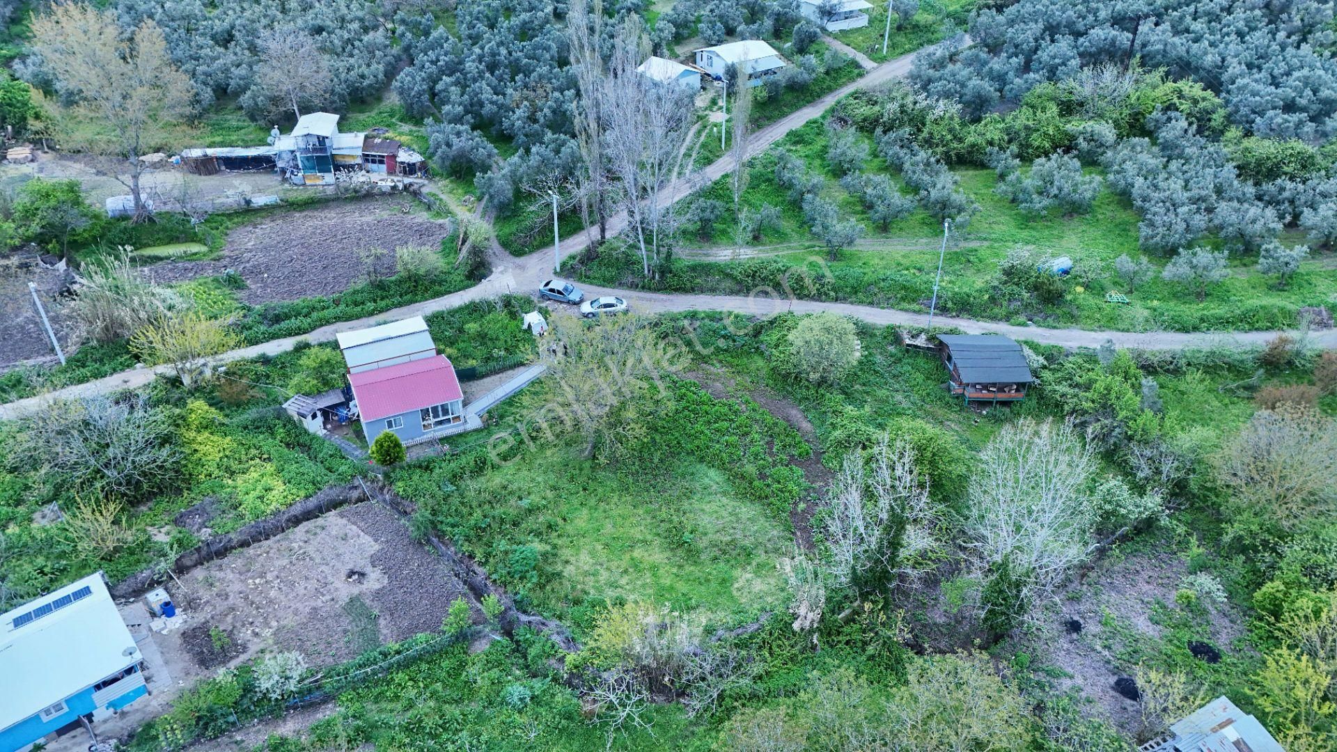 Esen'den Mudanya/yalıçiftlik'te Satılık Resmi Yola Cephe - Görsel 6