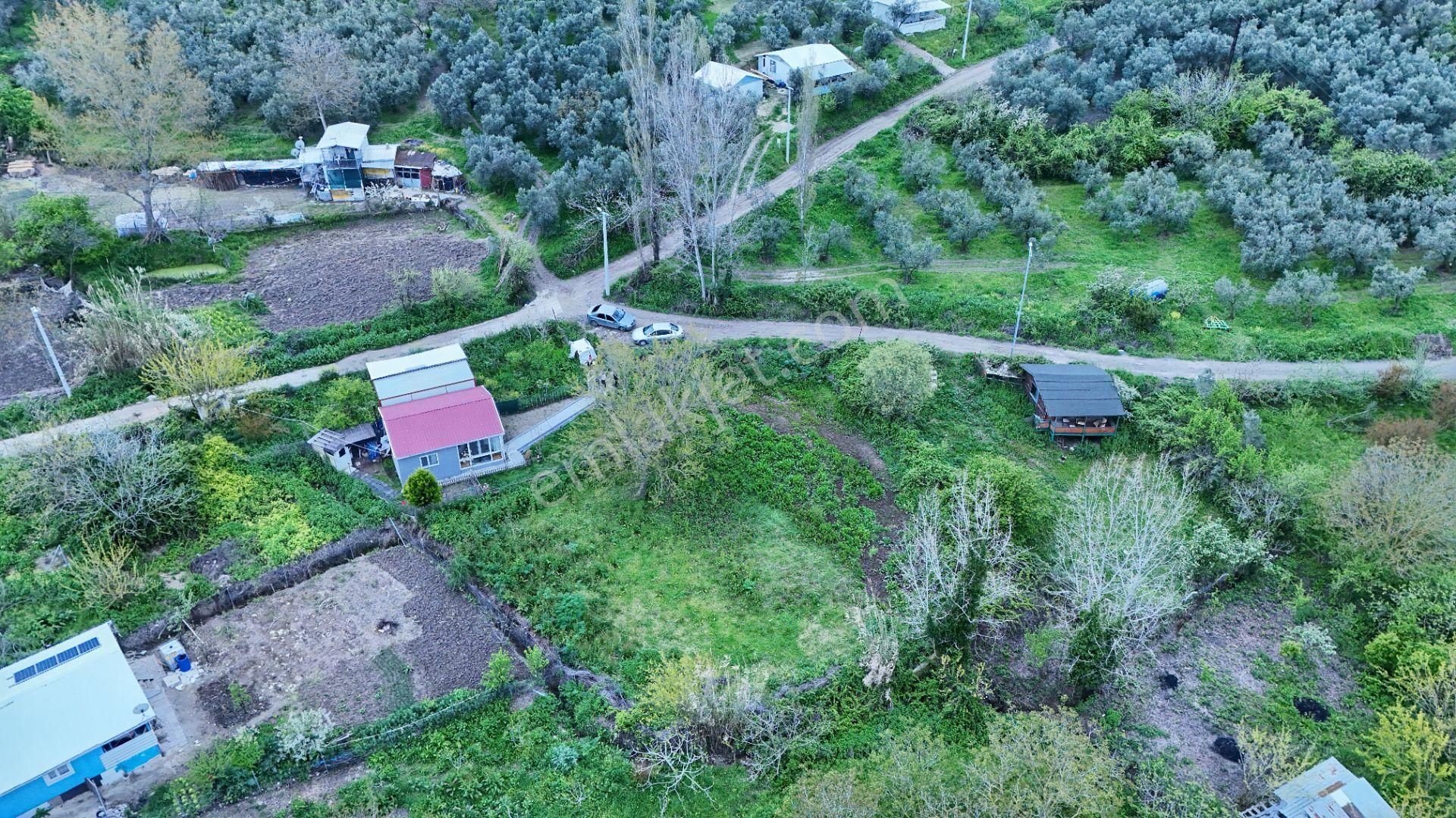 Esen'den Mudanya/yalıçiftlik'te Satılık Resmi Yola Cephe - Görsel 2