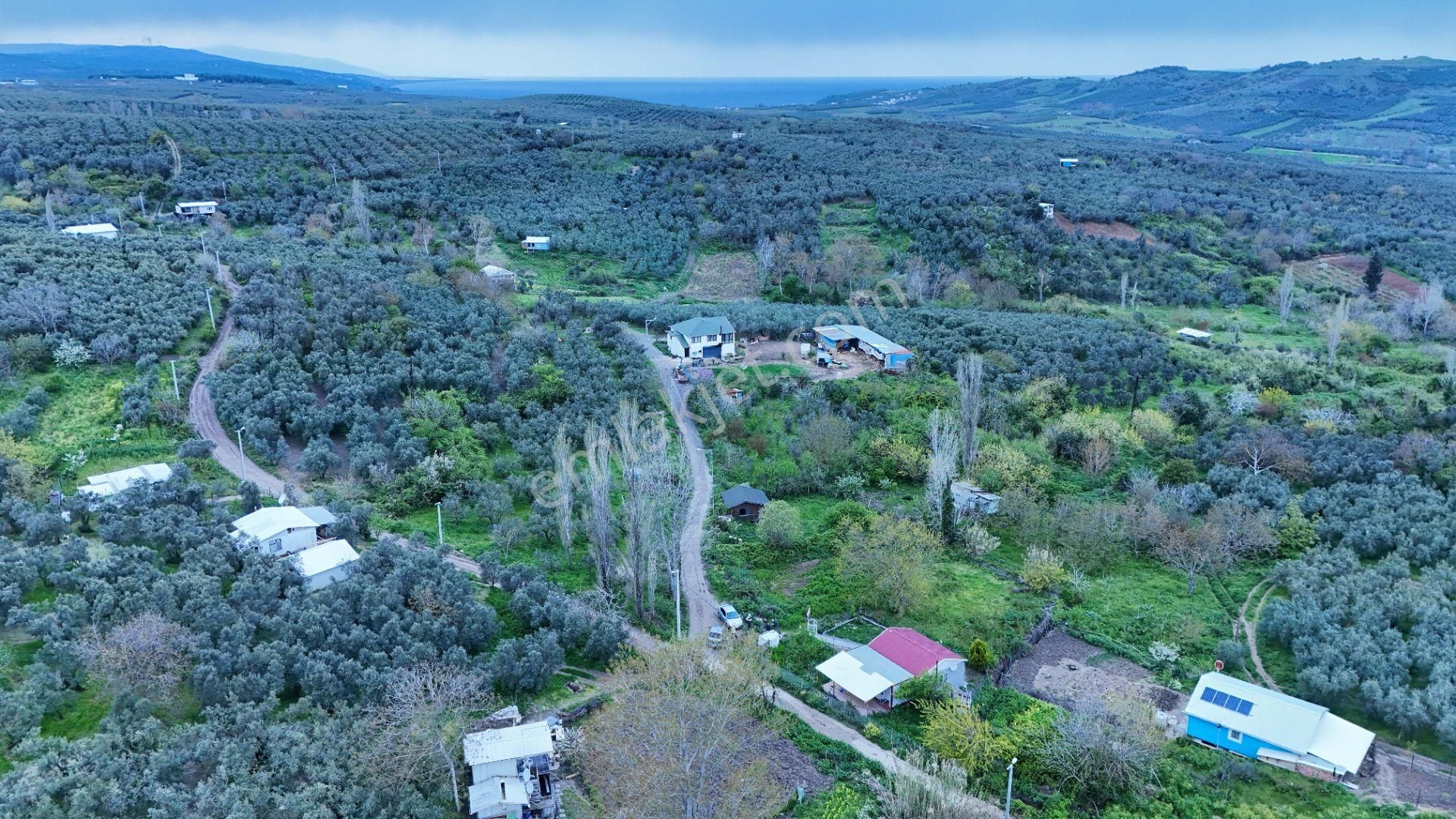 Esen'den Mudanya/yalıçiftlik'te Satılık Resmi Yola Cephe - Görsel 5