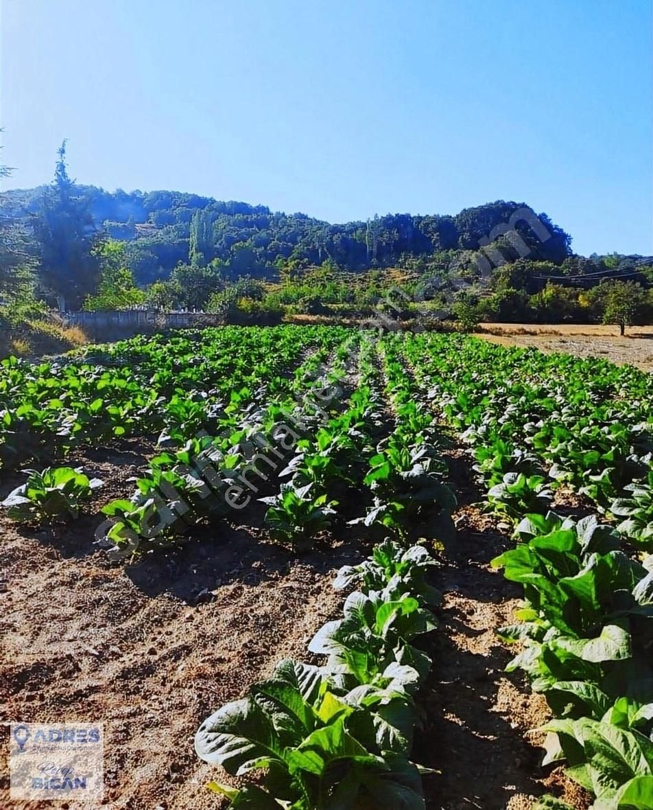 Kırklareli Pınarhisar Çayırdere De Satılık 2895 M2 Arsa
