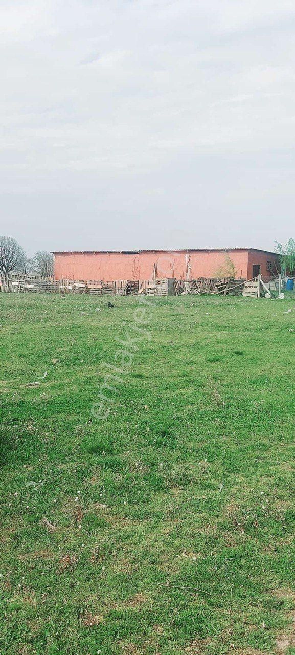 Çerkezköy Bağlık Satılık Tarladan Hisse