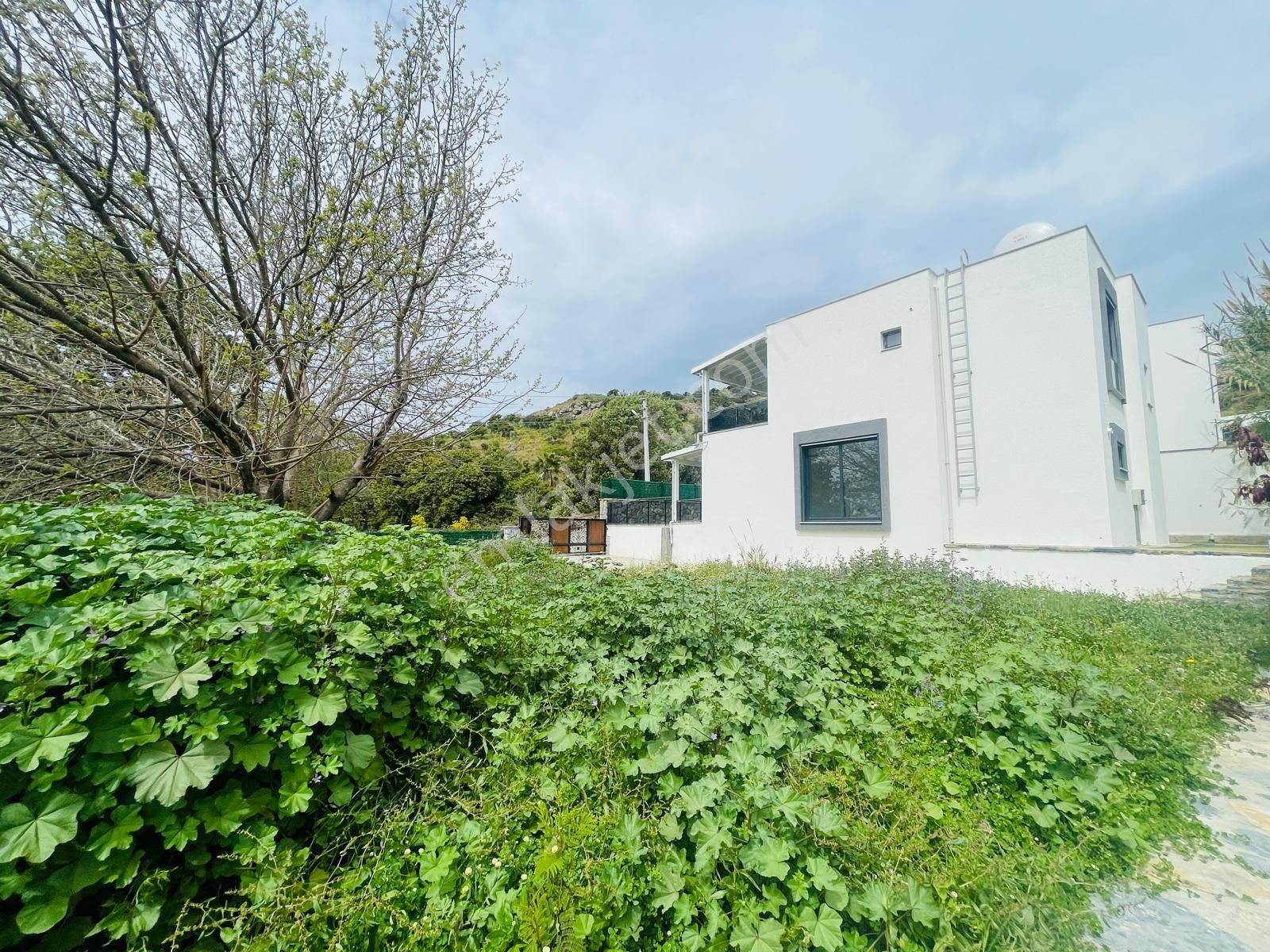 Gümüşlük Merkezde 1000 M2 Arsa İçinde Satılık Lüks Villa - Görsel 9