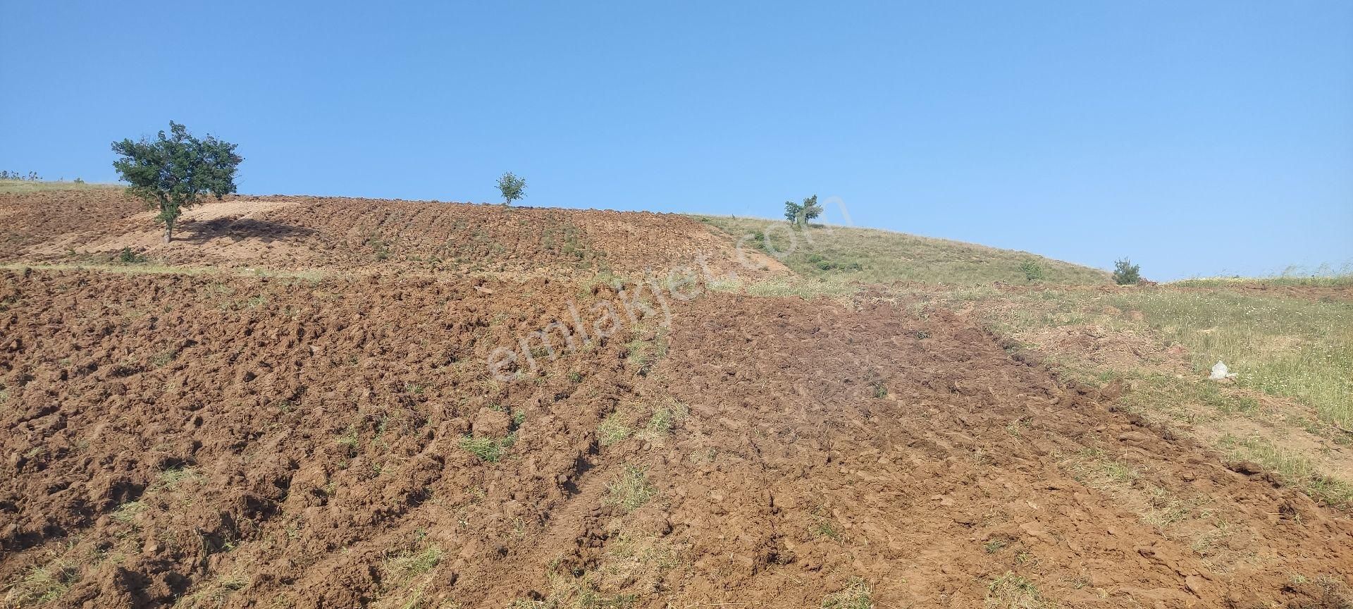 Yatirim Arazi Şehire 2500 Metre Mesafede