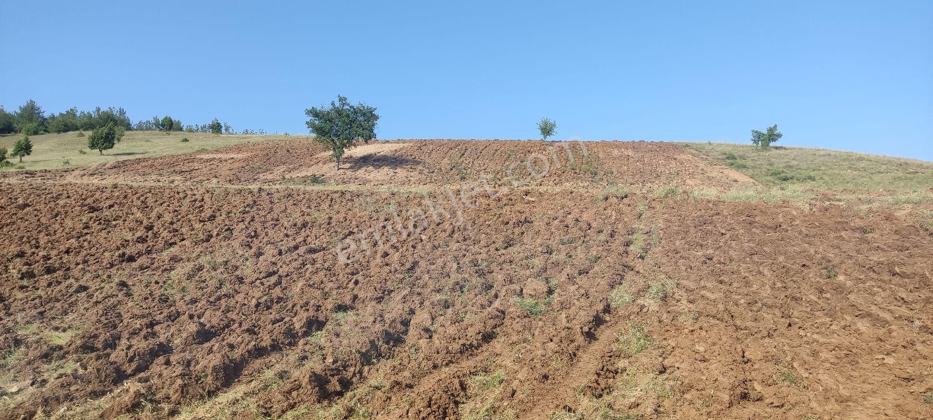 Yatirim Arazi Şehire 2500 Metre Mesafede - Görsel 2