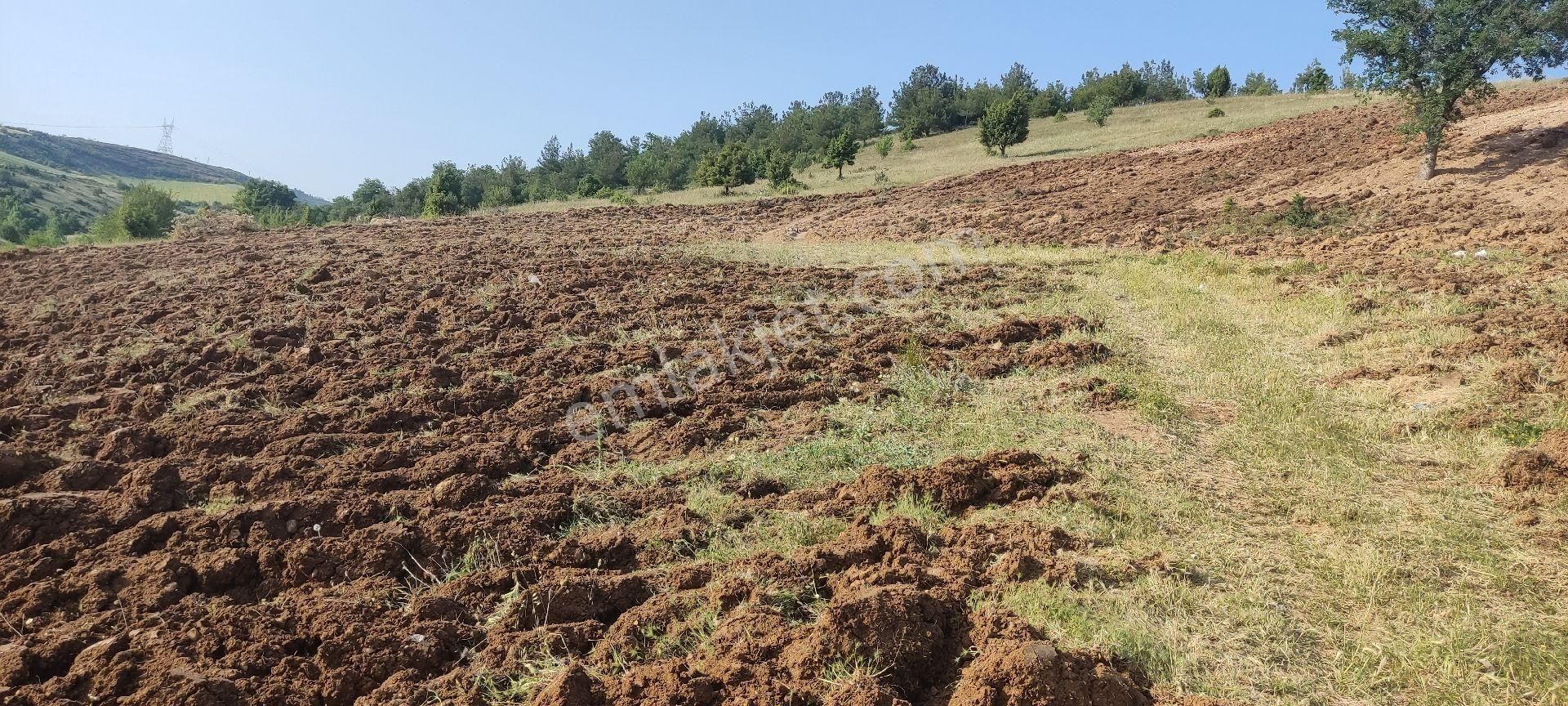 Yatirim Arazi Şehire 2500 Metre Mesafede - Görsel 16