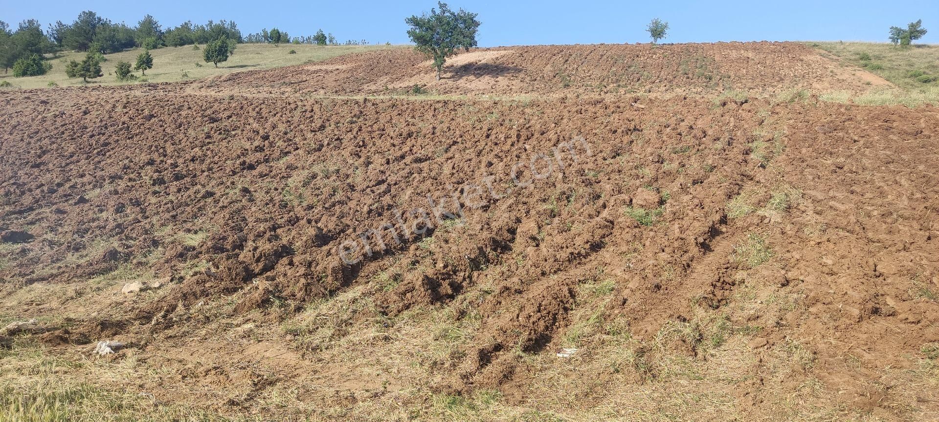 Yatirim Arazi Şehire 2500 Metre Mesafede - Görsel 14