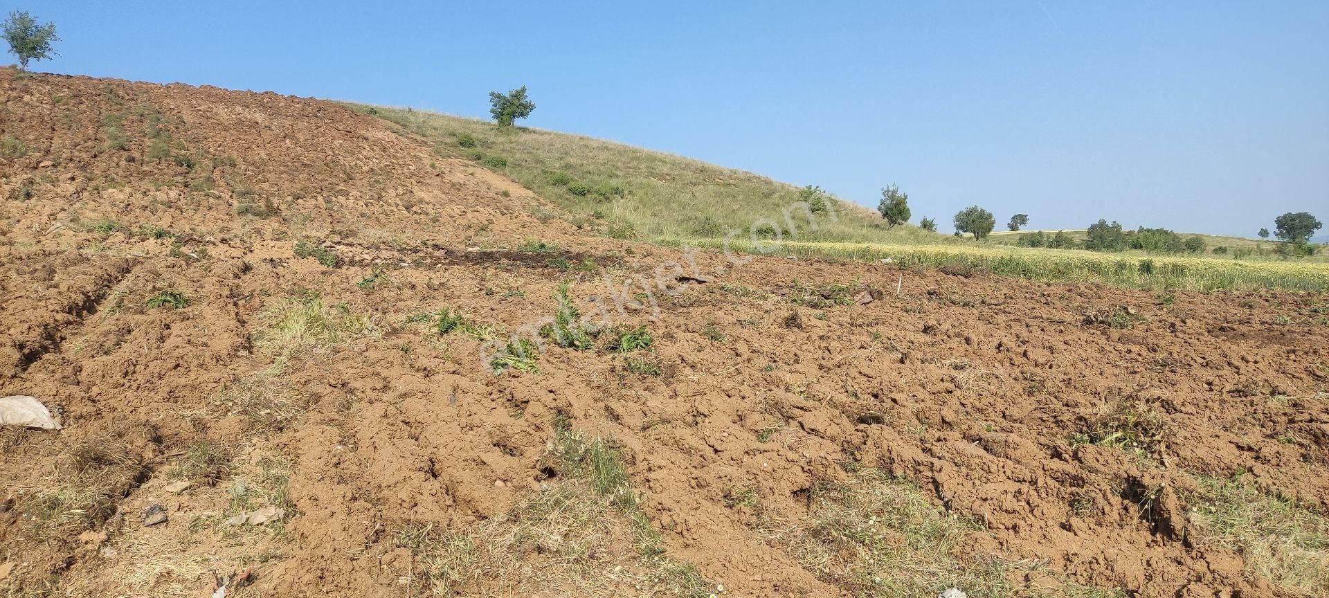 Yatirim Arazi Şehire 2500 Metre Mesafede - Görsel 11