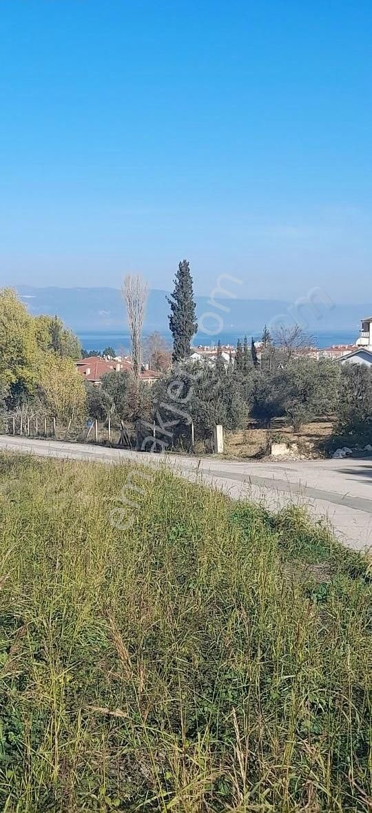 Dereköy De Süper Deniz Manzaralı Arsa
