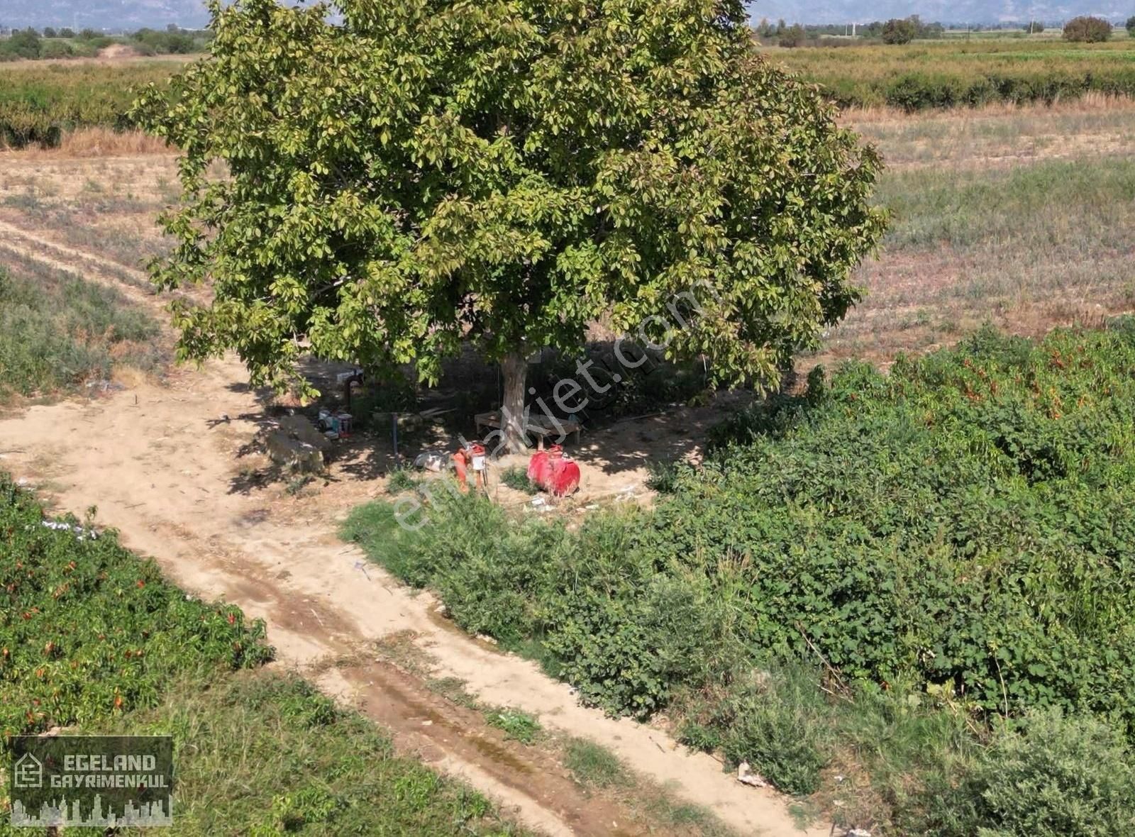 Tire Mahmutlar'da Satılık 36 Dönüm Tarla