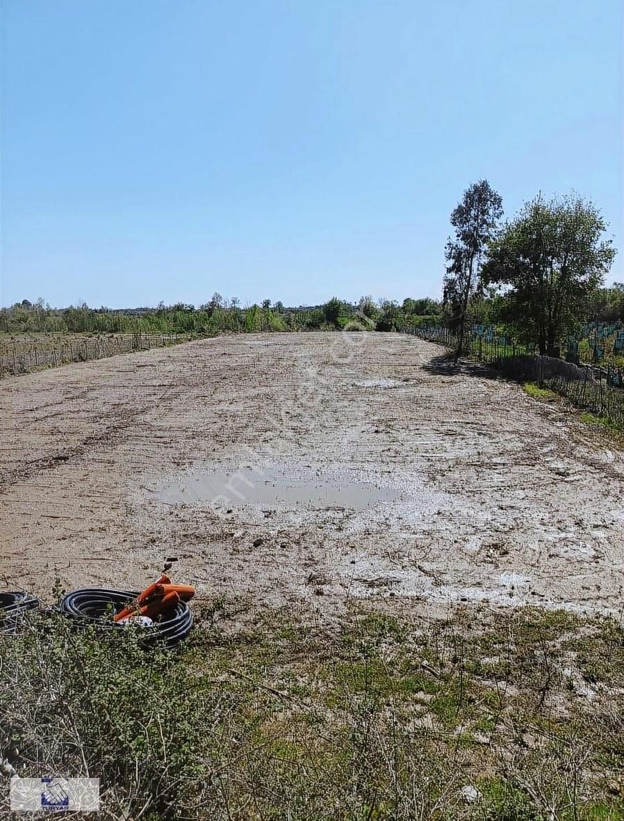 Satılık Hisseli Tarla Manavgat Çakış Mahallesi Seralar Bölgesi