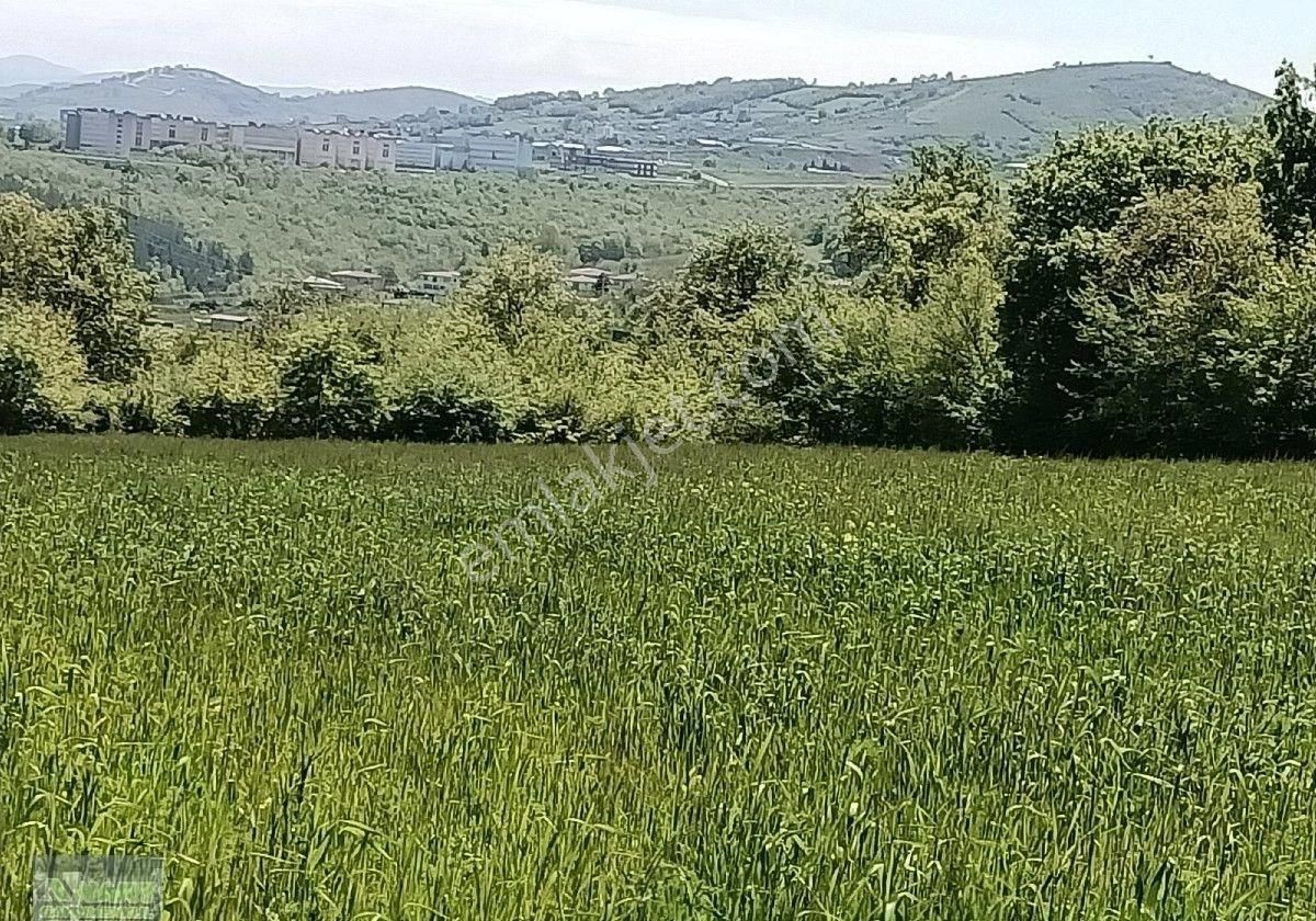 İncesumahlalesinde Manzaralı Tarla İmarda - Görsel 4